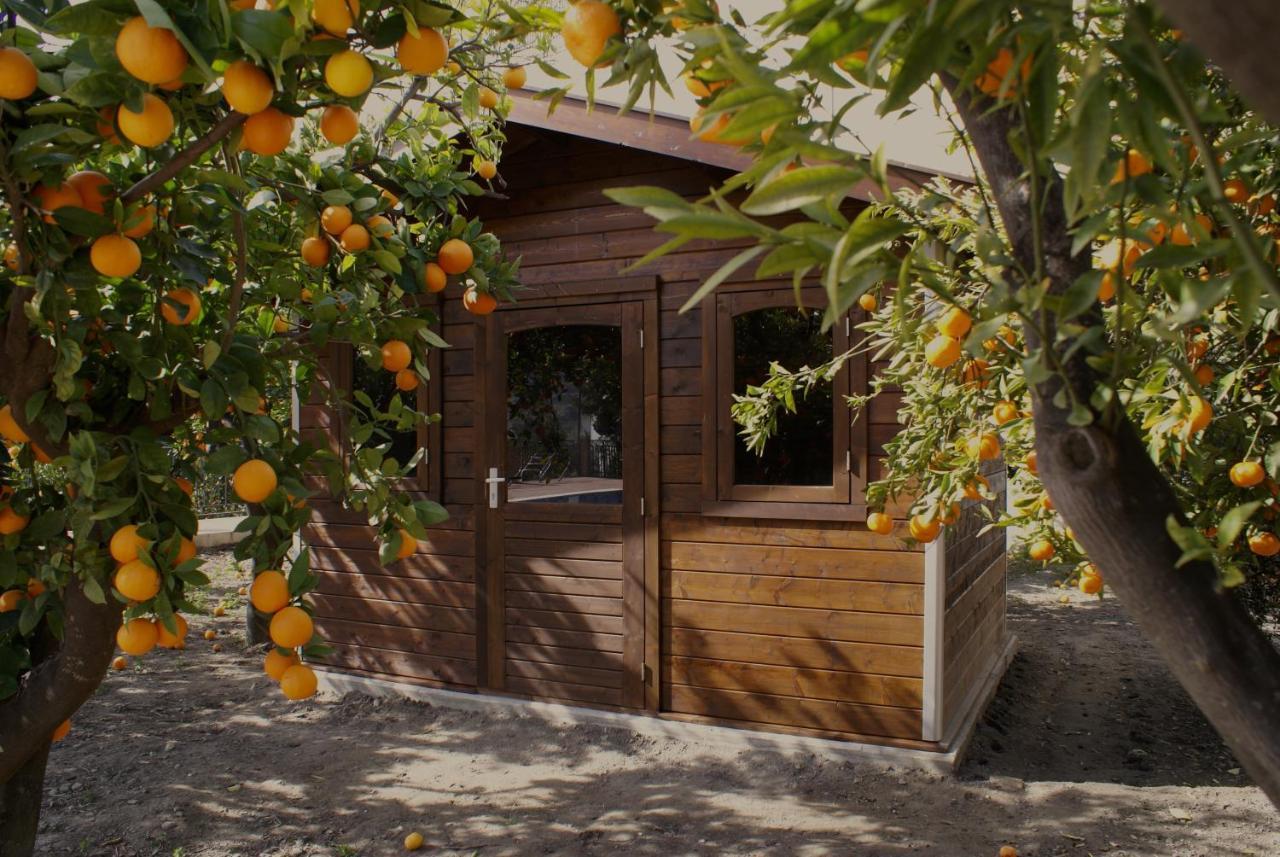 La Canota King Rooms Adults Only Talara Экстерьер фото