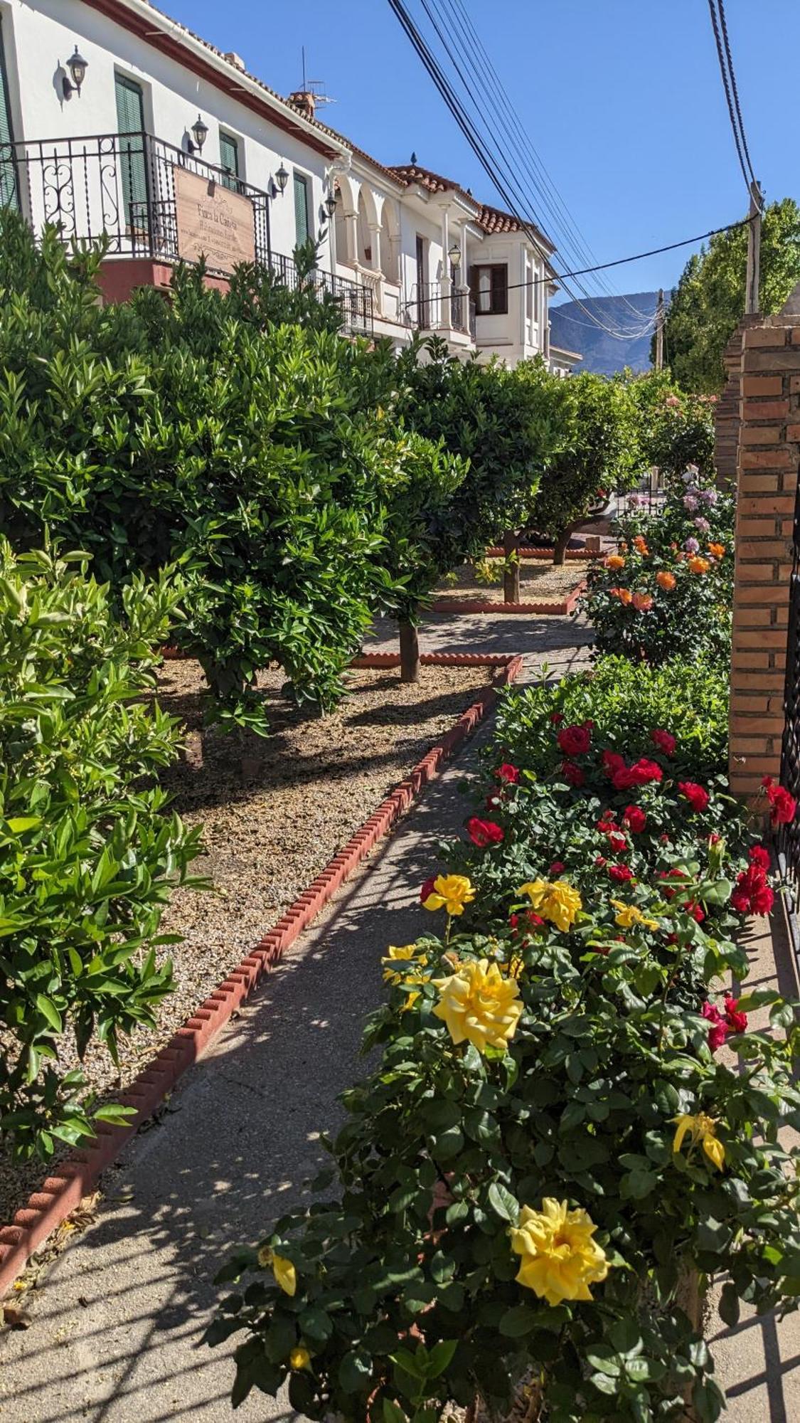 La Canota King Rooms Adults Only Talara Экстерьер фото